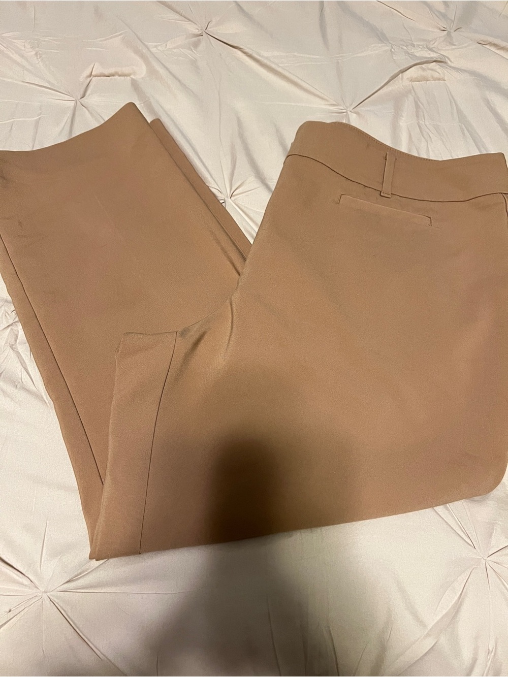 Ann Taylor Women's Trousers in Light Brown